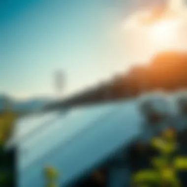 Magnificent Solar Powered Mining Farms: A Sustainable Approach to Cryptocurrency Production Magnificent Solar Powered Mining Farms: A Sustainable Approach to Cryptocurrency Production