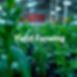 A Comprehensive Guide to Yield Farming Introduction