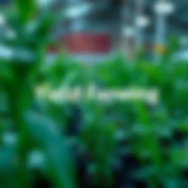 A Comprehensive Guide to Yield Farming Introduction A Comprehensive Guide to Yield Farming Introduction