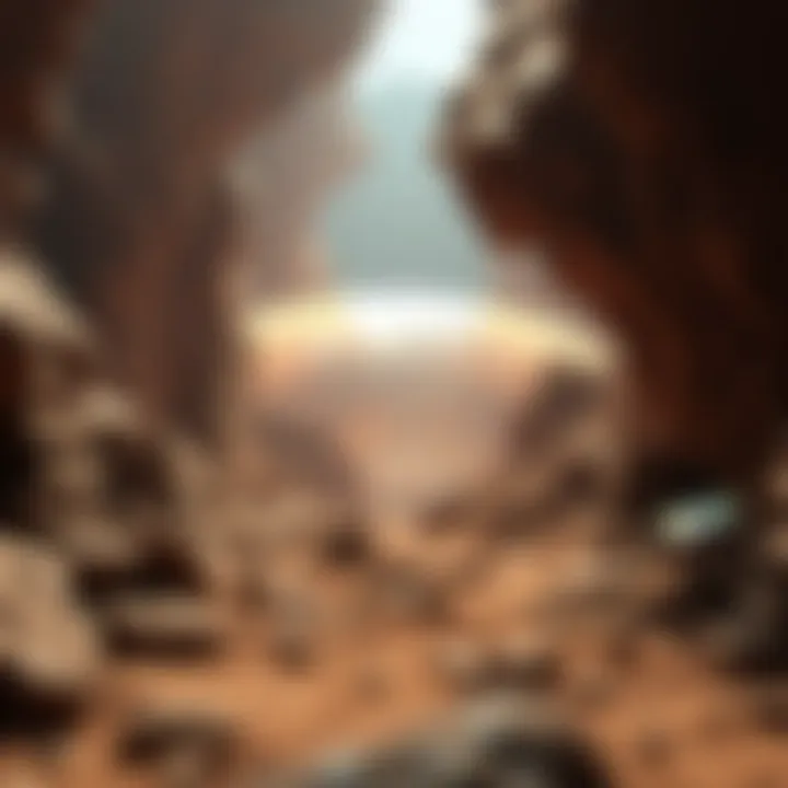 Future Implications of Dogelon Mars in Crypto Conceptual image of the future implications of Dogelon Mars