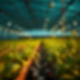 Exploring Polkadot Yield Farming Introduction