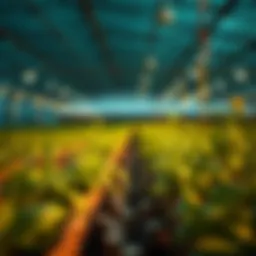 Exploring Polkadot Yield Farming Introduction