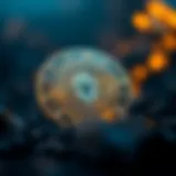 Exploring VTHO Coin: A Comprehensive Guide Introduction