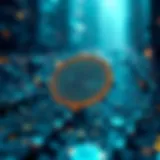 How to Create a Blockchain: A Comprehensive Guide Introduction