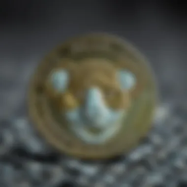 Koala Bear Coin showcasing its unique design