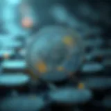 Visual representation of digital currency dynamics