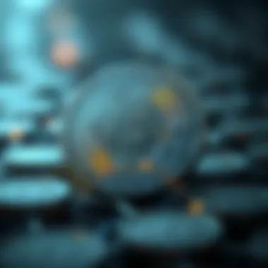 Understanding Digital Currency Dynamics Visual representation of digital currency dynamics