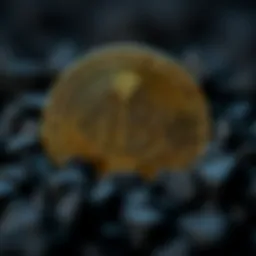 Understanding Mine Coin Prices: A Comprehensive Guide Introduction