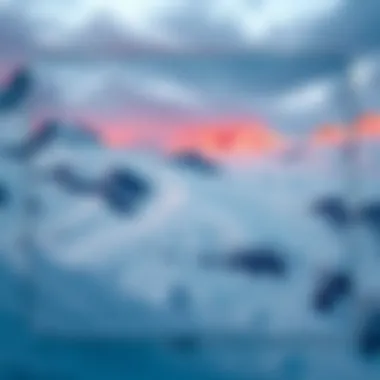 Notable Understanding the Avalanche Project in Cryptocurrency Notable Understanding the Avalanche Project in Cryptocurrency